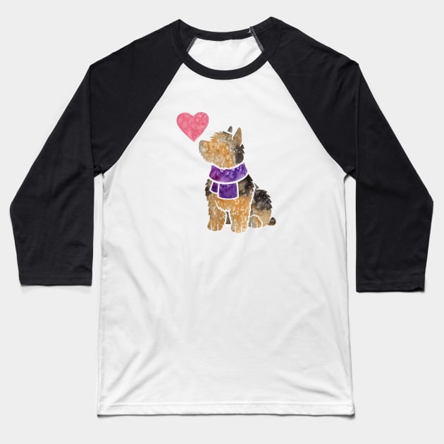 Norwich Terrier Baseball T-Shirt by animalartbyjess
